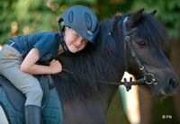 Gratis:Rauf aufs Pony: Reiten lernen, Reitpädagogik, Reittherapie Thüringen - Eisenach Vorschau