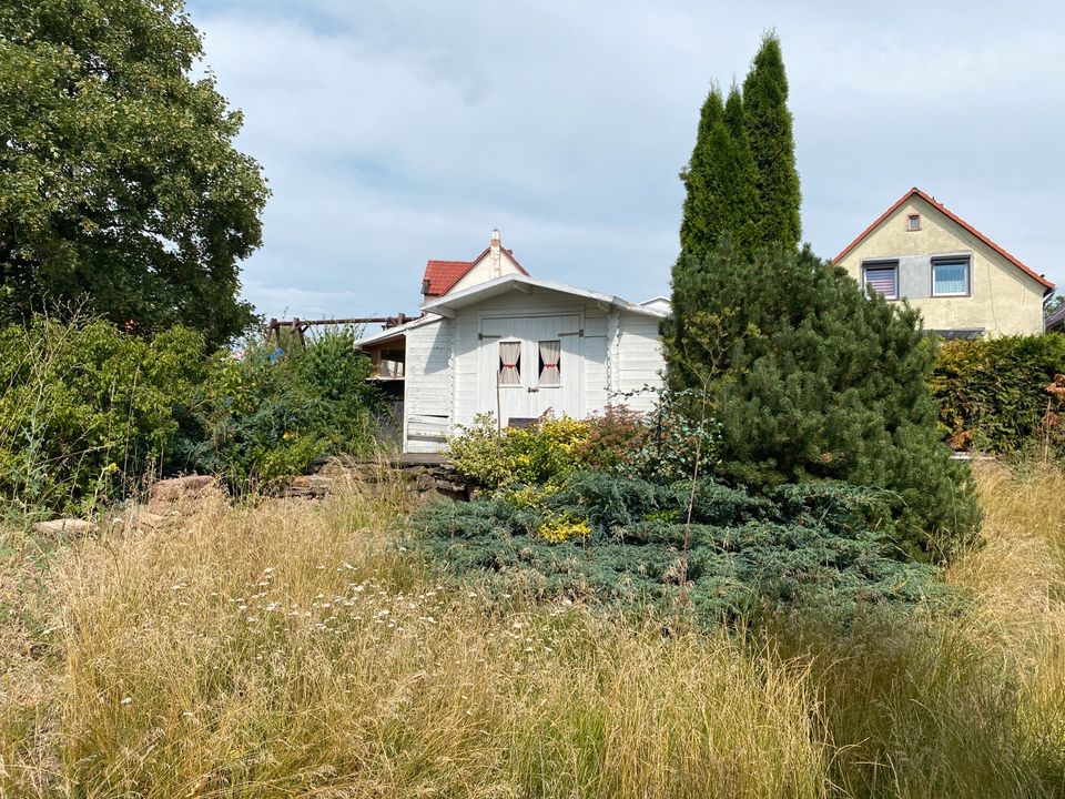 2 R Whg mit Garten in Blankenheim—-Sonnenseite— in Blankenheim bei Sangerhausen