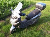 Piaggio X9 125ccm Roller Motorroller top Niedersachsen - Geestland Vorschau