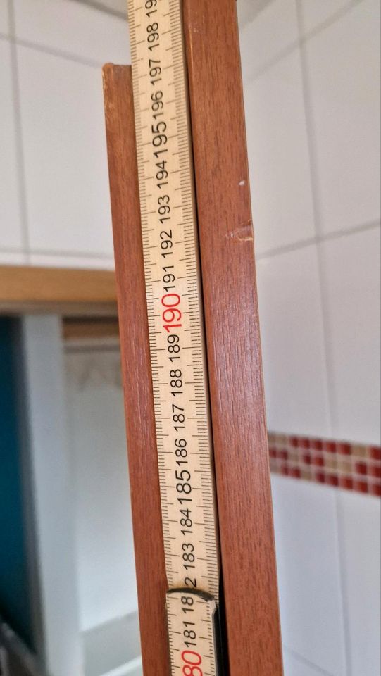 Tür 197,5 cm hoch 73 cm  breit in Grünstadt