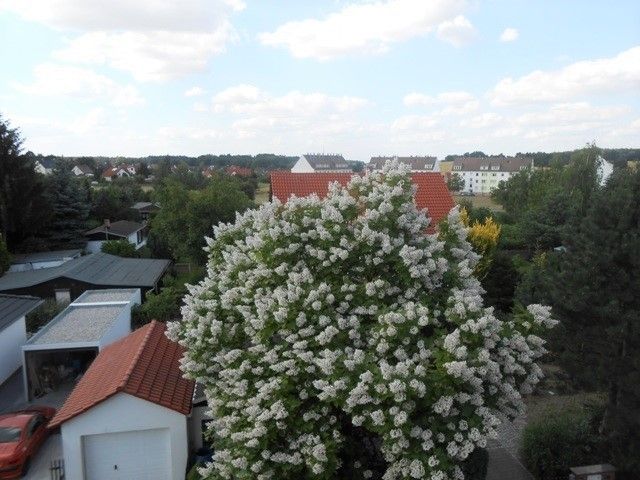 Schönes Wohnumfeld |  Gemütlicher Balkon | Tageslichtbad | Stellplatz in Machern