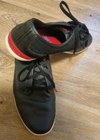 Adidas Neo Label Ortholite Gr. 48 2/3 Nordrhein-Westfalen - Hörstel Vorschau