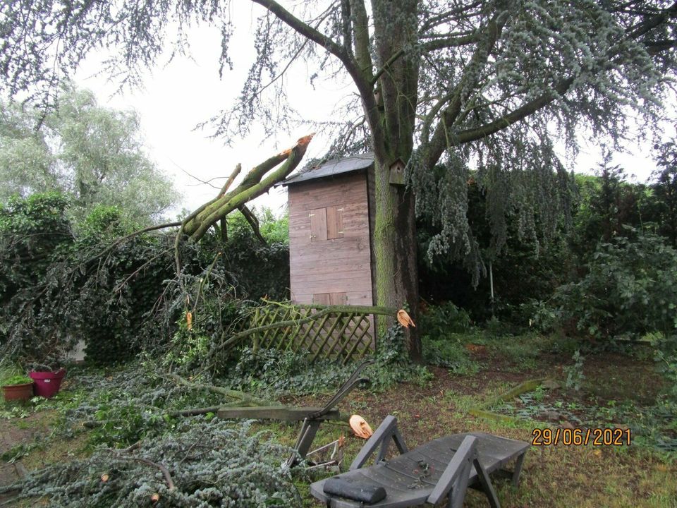 Sturmschaden Windbruch Baumfällung Baum - Kranfällung in Hanau