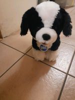 Build a bear Hund Nordrhein-Westfalen - Oberhausen Vorschau