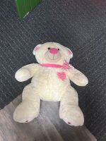 Teddybär klein Harburg - Hamburg Hausbruch Vorschau