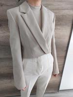 Zara Blazer crop bauchfrei grau Größe XS Sachsen - Riesa Vorschau