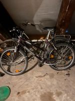 1 Fahrrad 20euro - 2 fahhrad 30 euro Niedersachsen - Seesen Vorschau