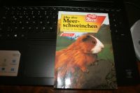 Meerschweinchen, Sachbuch vom Falken Verlag, unbenutzt Bayern - Fürth Vorschau