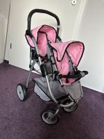 Beyer Puppen Zwillings Buggy rosa grau Schleswig-Holstein - Norderstedt Vorschau