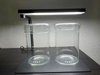 Chihiros C2 LED + Base Stand, DOOA Glass Pot Maru + Maru 95 Lübeck - St. Gertrud Vorschau