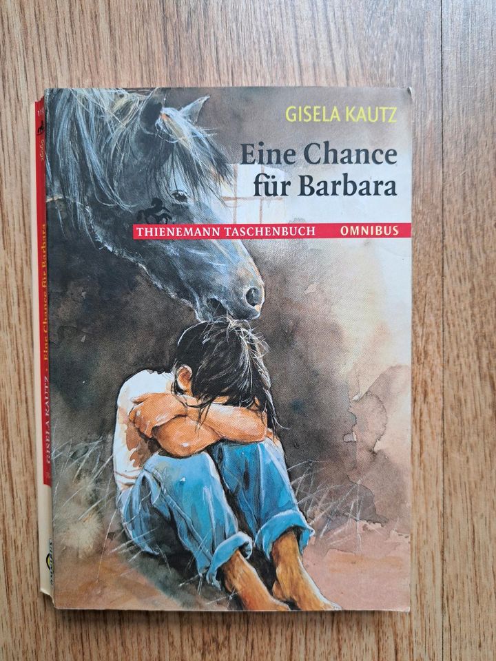 Buch Eine Chance für Barbara in Schefflenz