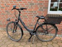 Damenfahrrad Hercules 26“ Rahmengröße 51 Niedersachsen - Soltau Vorschau