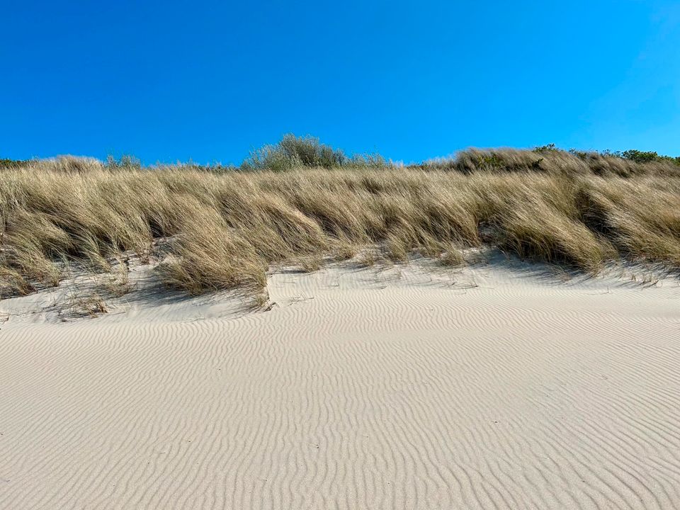 Urlaub, Bakenberg, Rügen, Dranske, strandnah, Ostsee in Dranske