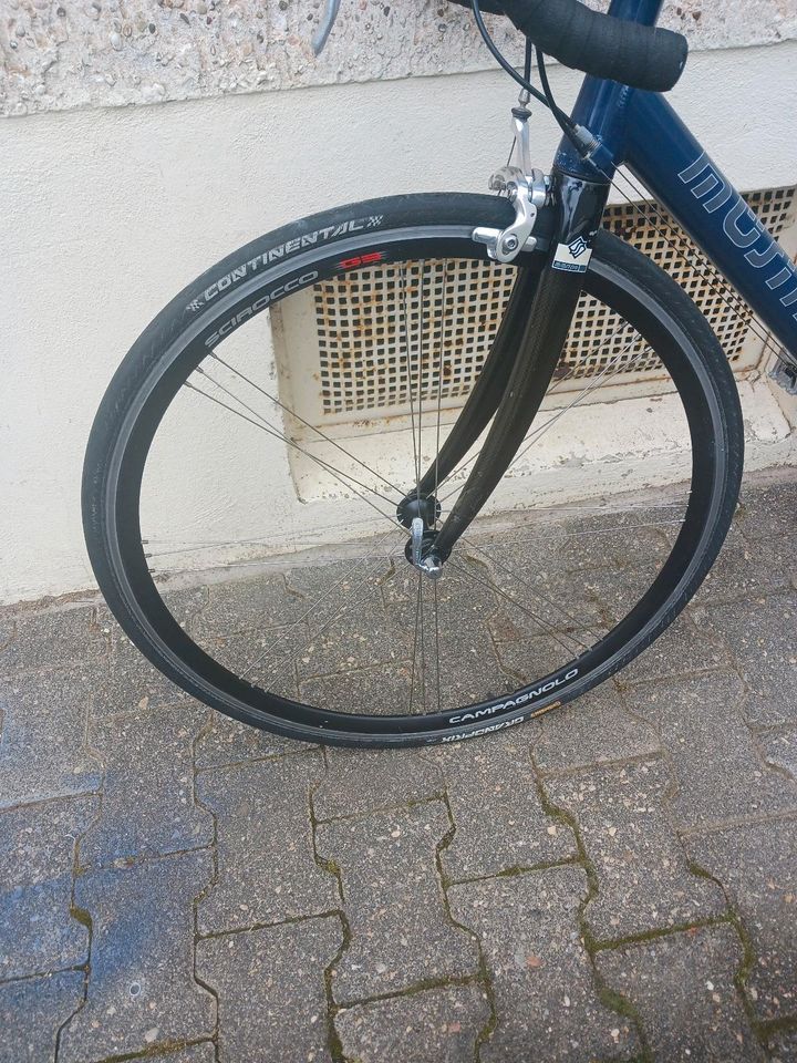 Müsing Rennrad in Mainz