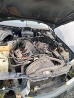 W124 Motor 230E geschaltet Schleswig-Holstein - Glücksburg Vorschau