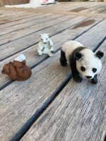 Schleich Tiere  3 Bären Panda , Braun und Eisbären Baby Hessen - Wehrheim Vorschau