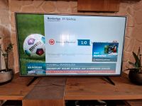 Fernseher TV 55 Zoll Bayern - Ingolstadt Vorschau