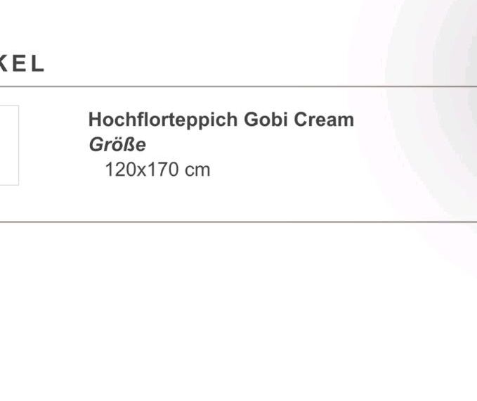 Benuta hochflorteppich Gobi cream in Düsseldorf