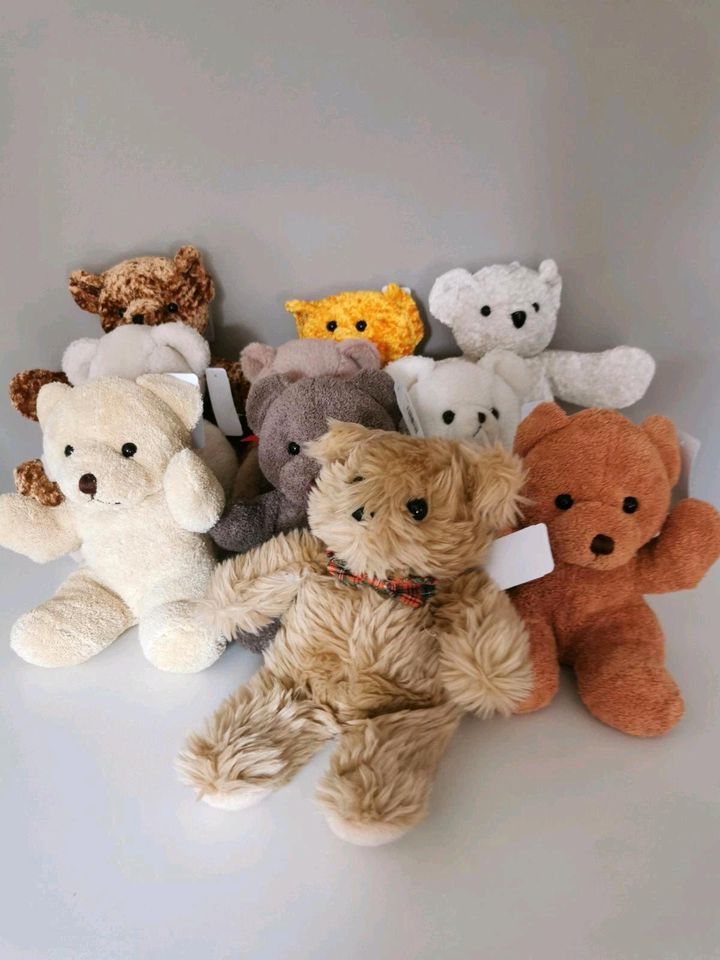 Teddybär,  Plüschtier, neuwertig in Winsen (Luhe)