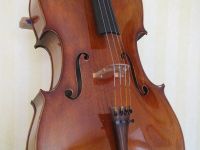 Violoncello Meistercello "Kreuzinger" Bayern - Neumarkt-Sankt Veit Vorschau