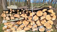 Brennholz, Kaminholz, Feuerholz, Holz Thüringen - Nobitz Vorschau