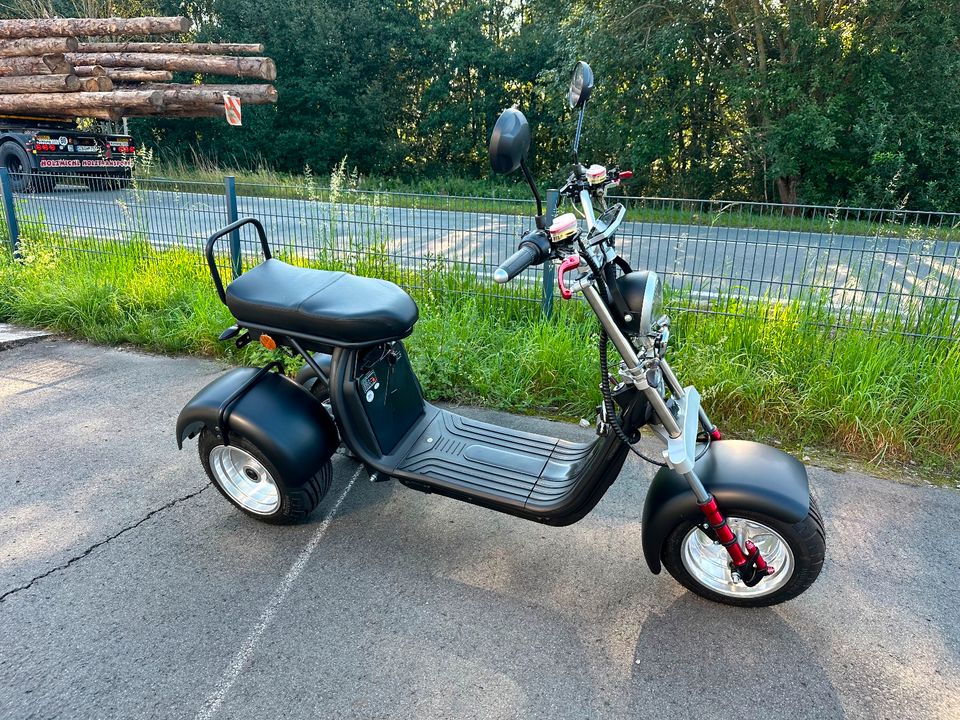 Elektro-Trike 45 km/h/4000W peak/bis 90 km/Neigetechnik in Weißenstadt