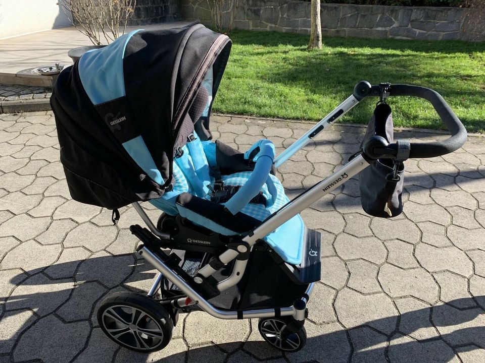 Gesslein F6 Air+ Kinderwagen in Berg