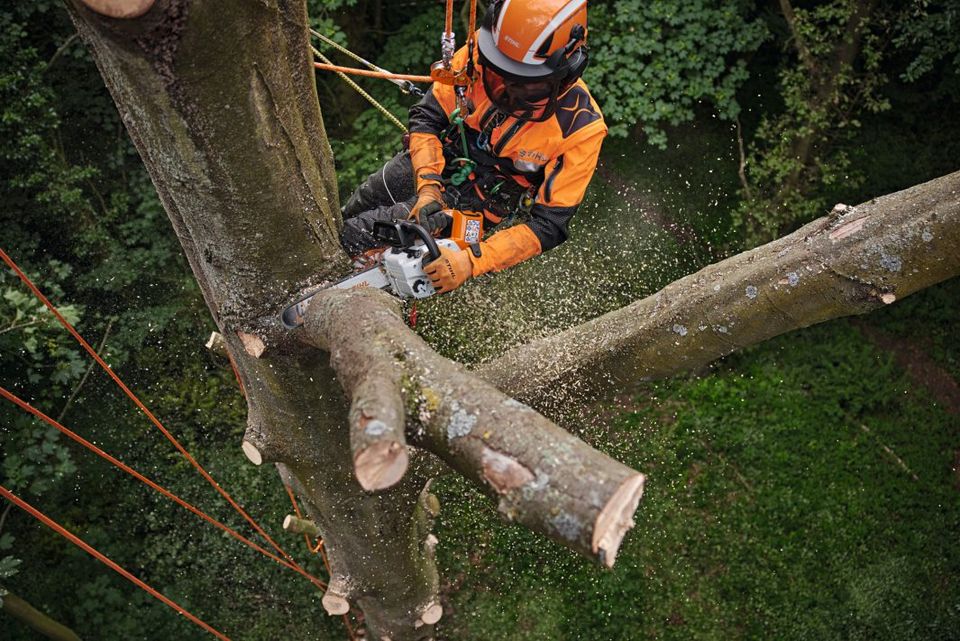 Stihl Akku Motorsäge MSA 220 TC-O 35cm in Hildesheim