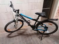 Fahrrad Mountainbike Genesis Element Rahmenhöhe 46cm Chemnitz - Kappel Vorschau