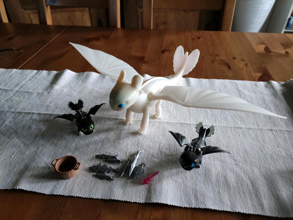 Playmobil Tagschatten mit 2 Babydrachen und Fischkorb in Glandorf