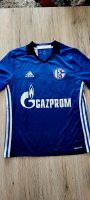 Zu verkaufen ist ein Kindertrikot vom FC Schalke 04. Essen - Karnap Vorschau