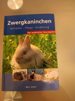 Zwergkaninchen Ratgeber Sachsen - Zeithain Vorschau