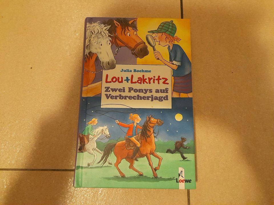 Lou + Lakritz - Zwei Ponys auf auf Verbrecherjagd in Sulzbach