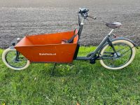 Bakfiets.nl Cargo Long Cruiser Mittelmotor Lastenrad Cargobike Münster (Westfalen) - Geist Vorschau