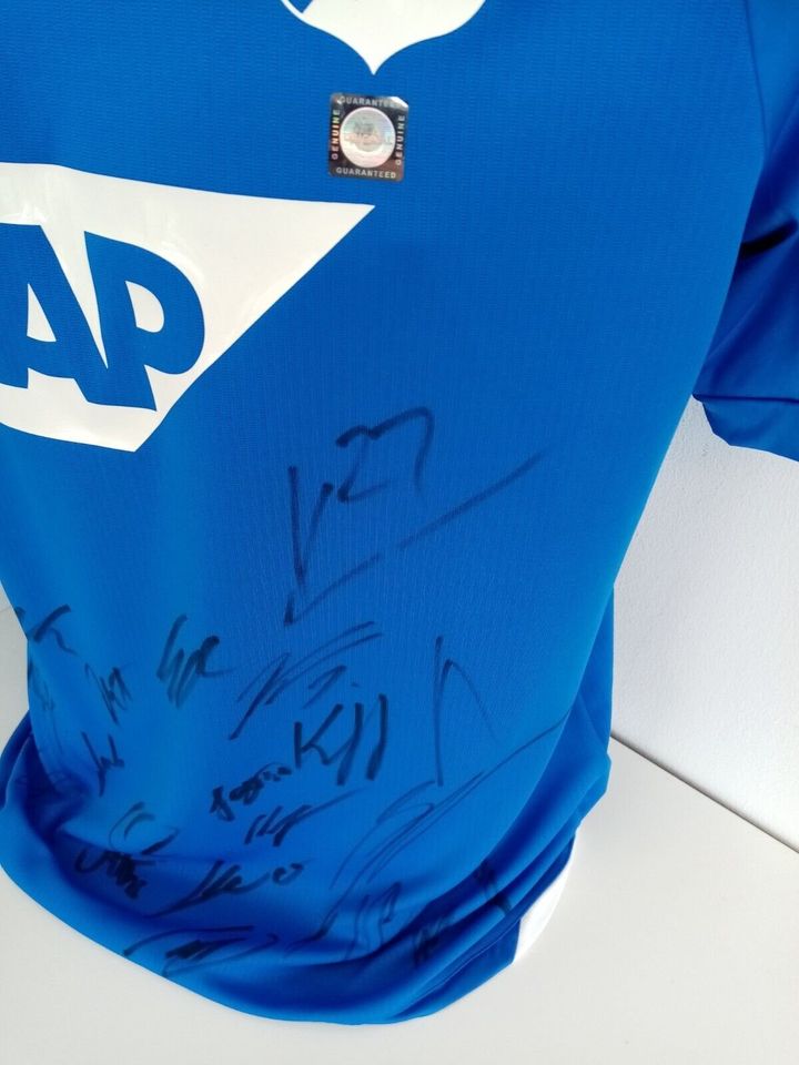 1899 Hoffenheim Trikot 18/19 Teamsigniert Autogramm COA Lotto M in Lünen