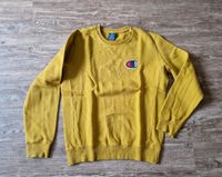 Champion Sweatshirt Gr. M Niedersachsen - Haselünne Vorschau