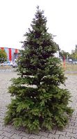 Künstlicher Weihnachtsbaum mit Ständer - 2,70 m Höhe - wie echt! Rheinland-Pfalz - Polch Vorschau