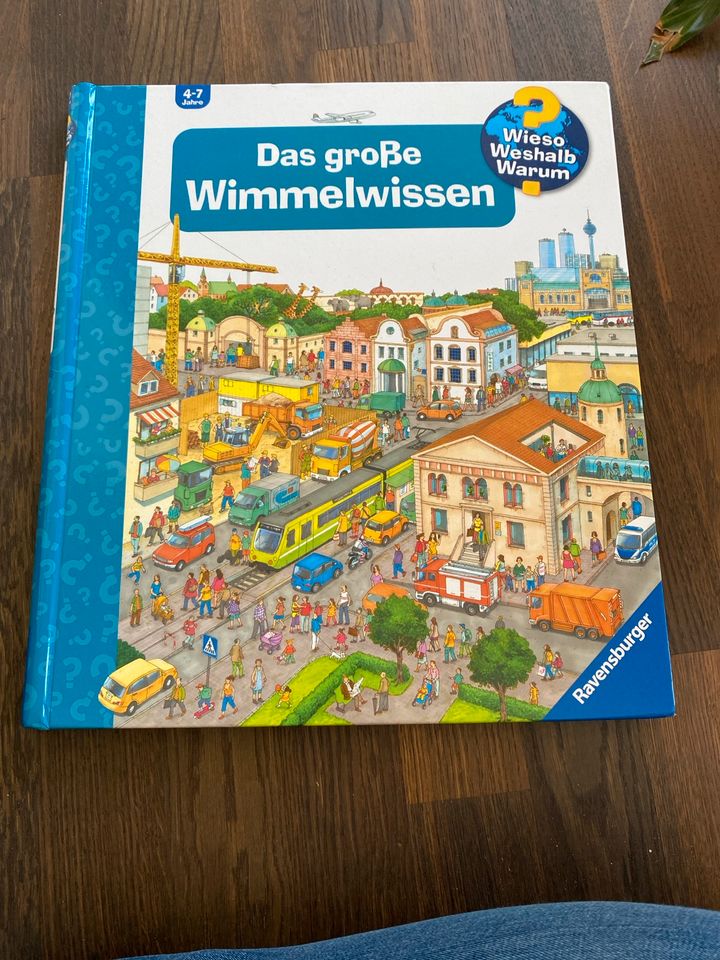 Ravensburger Das große Wimmelwissen Buch Wimmelbuch XXL in Landshut