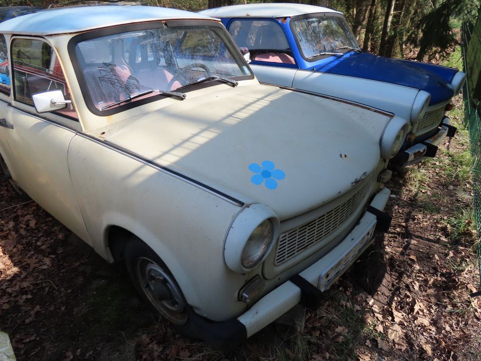 Trabant P601L  "Zusammen sind wir stark" _ Emsland in Hamburg