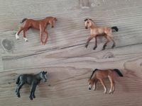 Schleichpferde Schleich Pferde Fohlen Nordrhein-Westfalen - Wegberg Vorschau