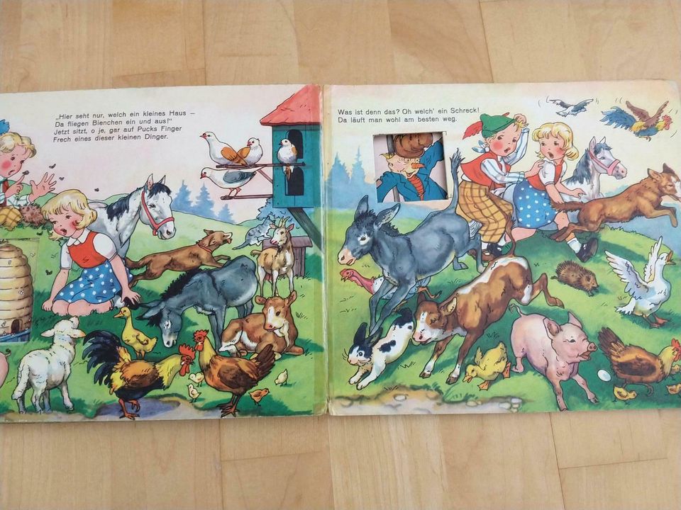 Puck und Puckis Tiere - Antiquarisches Kinderbuch, Pestalozzi in Oberursel (Taunus)