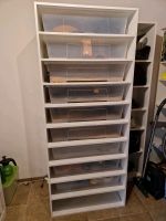 Terrarium / Rack Nordrhein-Westfalen - Moers Vorschau