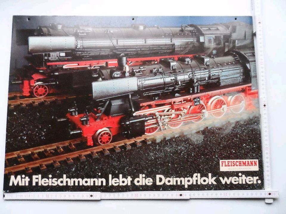 Fleischmann H0 N Eisenbahn Dampflok - Plakat Poster Aufsteller in Kirchheimbolanden