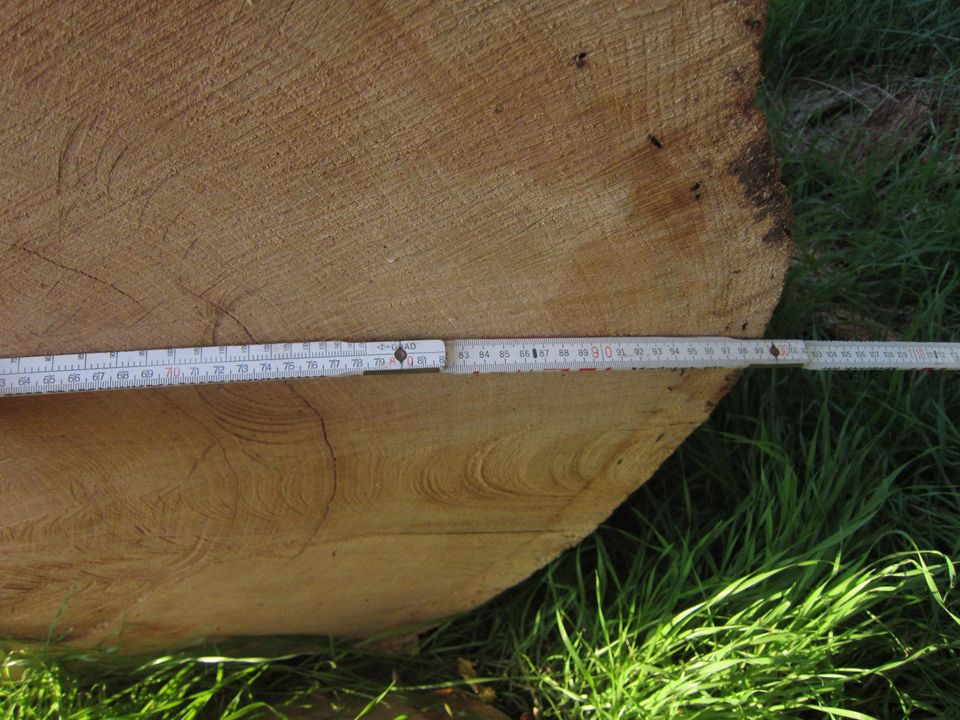 Eichenstamm 5 m, ca. 1,9 Festmeter in Lautertal