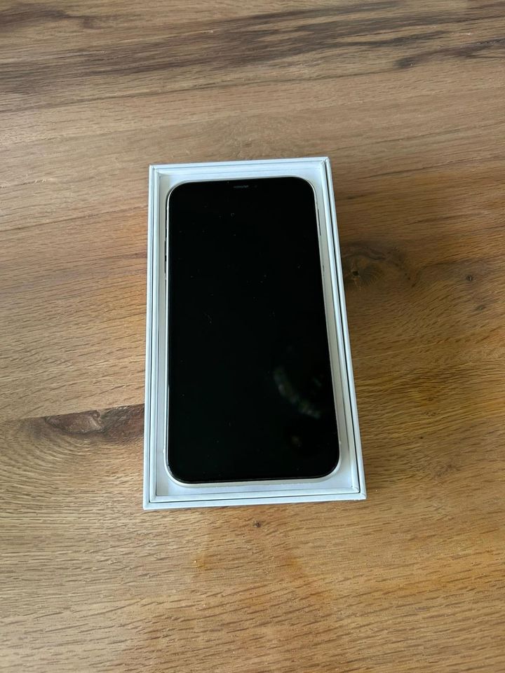 Apple IPhone 11/64 GB in Pirmasens