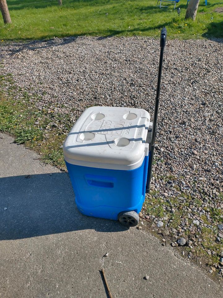 Kühltrolley für den Strand zu verkaufen. in Sörup