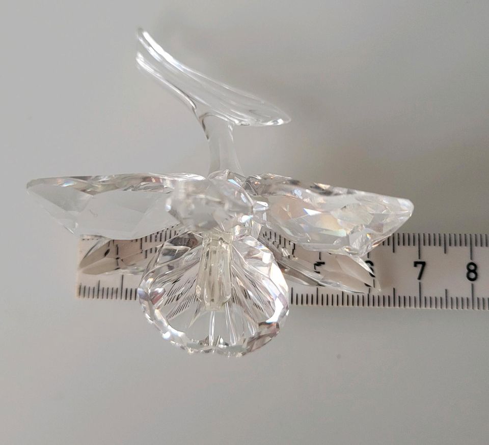 Swarovski Orchidee mit originaler Verpackung in Christiansholm