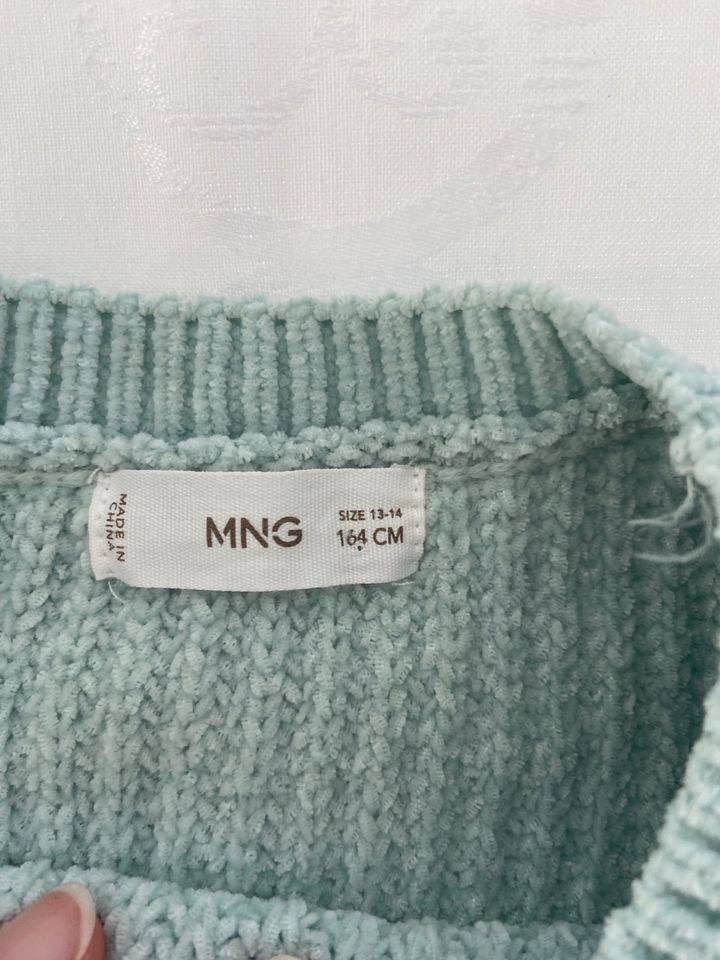 hellgrüner Mango Strickpullover Gr. 164 in Lohmar