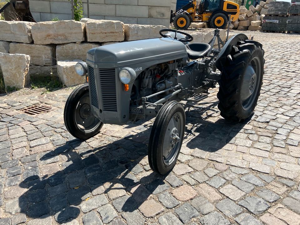 Massey Ferguson TE 20 Benzin Oldtimer Traktor Pflug in Mainburg