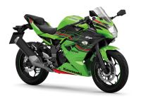 Kawasaki Ninja 125 Modell 2023 Neufahrzeug 4 Jahre Garantie Nordrhein-Westfalen - Warburg Vorschau